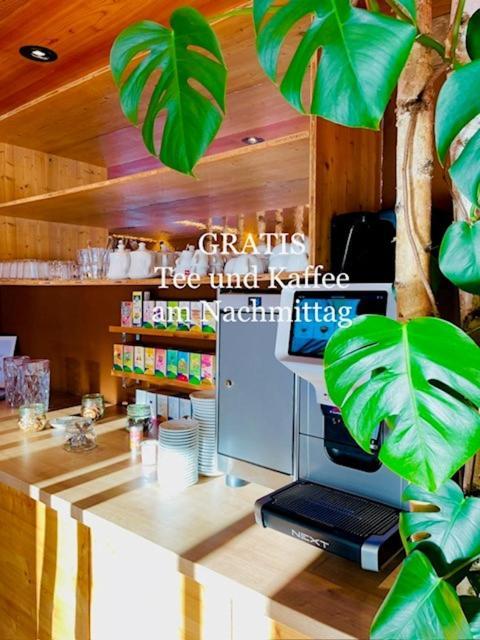 Curuna Hotel-Garni B&B Scuol Luaran gambar